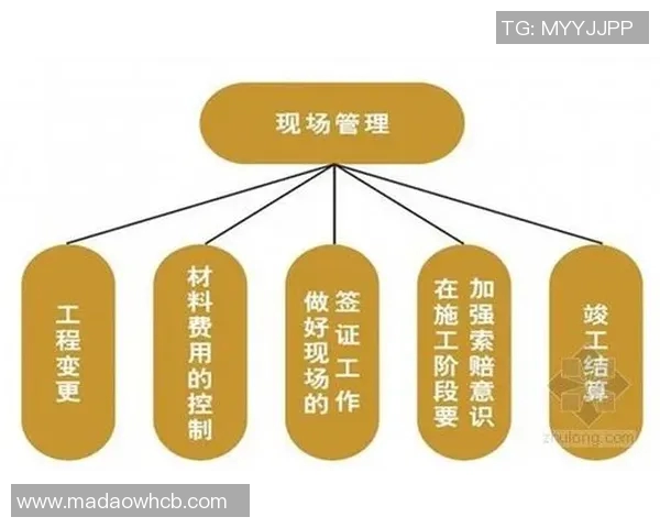 成都排球队的排球战术与运营体系探讨及其发展策略分析